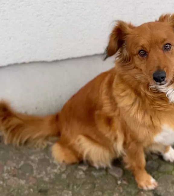 Banner Community Digital Storytelling Festival